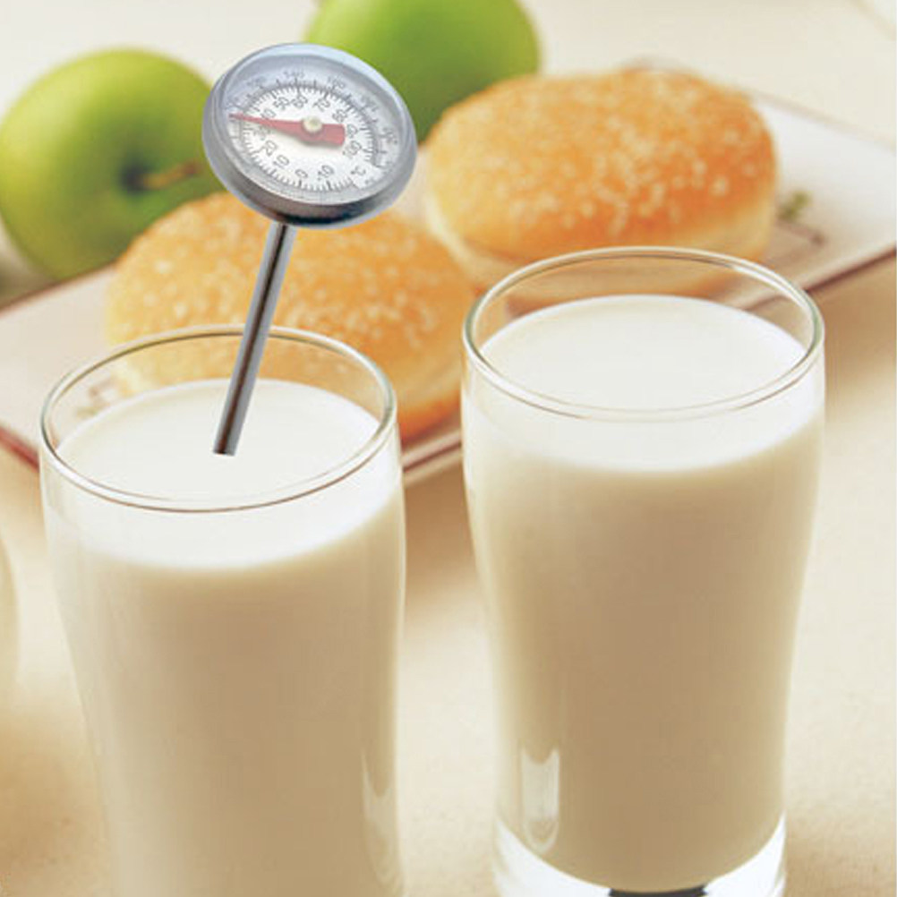 Stainless Steel Food Thermomet - Home Cooking Usa 评论和价格