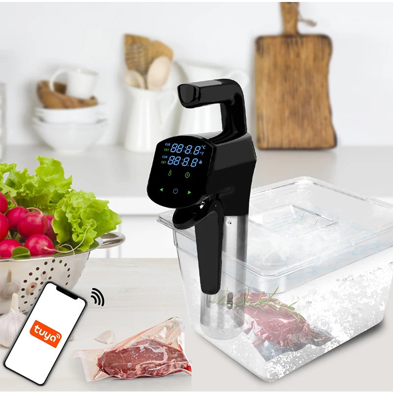 110V/220V Commercial Sous Vide - Home Cooking Machine 评论和价格